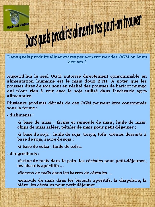 Dans quels produits alimentaires peut-on trouver des OGM ou leurs dérivés ? Aujourd'hui le