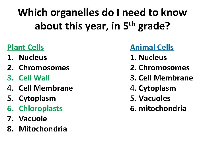 Which organelles do I need to know about this year, in 5 th grade?