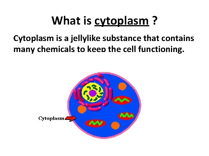 What is cytoplasm ? Cytoplasm is a jellylike substance that contains many chemicals to