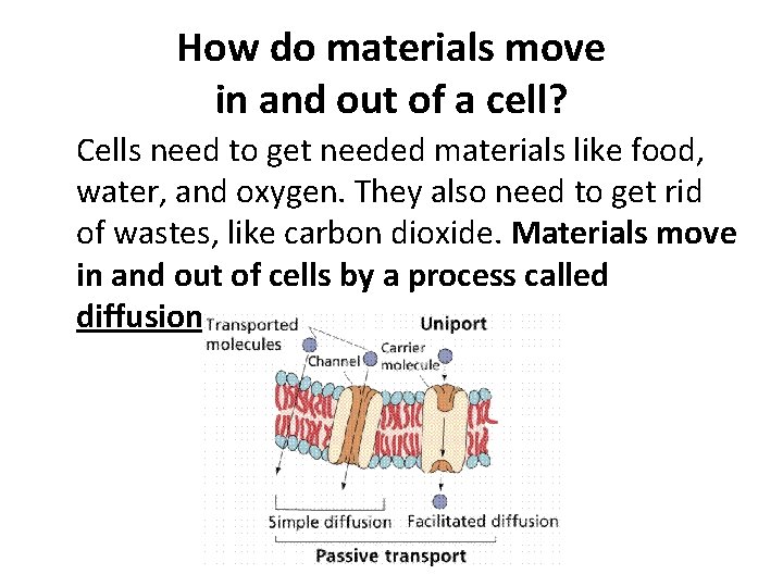How do materials move in and out of a cell? Cells need to get