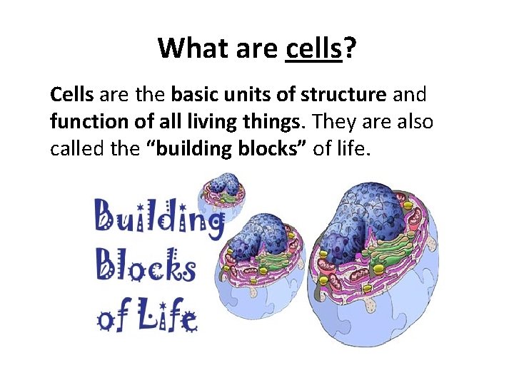 What are cells? Cells are the basic units of structure and function of all