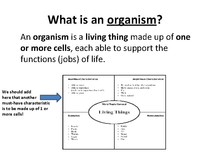 What is an organism? An organism is a living thing made up of one