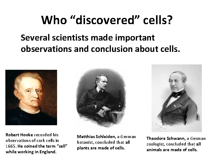 Who “discovered” cells? Several scientists made important observations and conclusion about cells. Robert Hooke