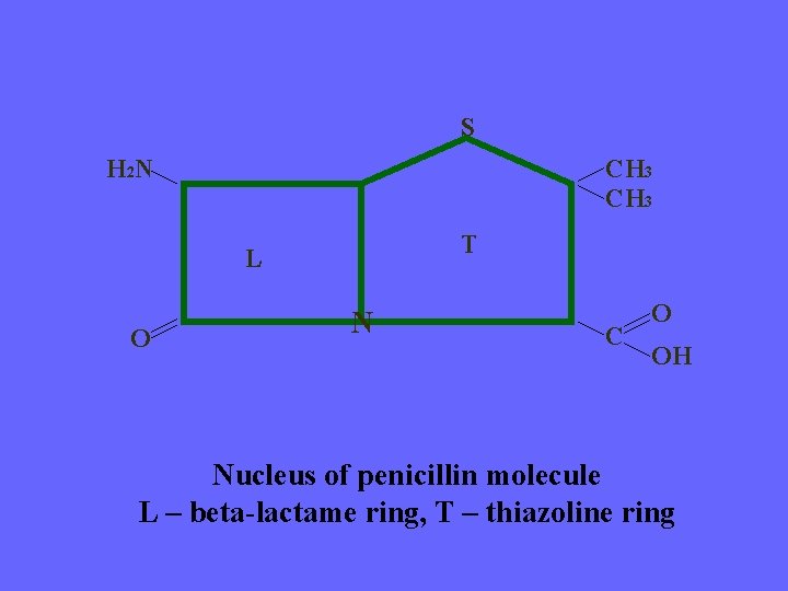 S H 2 N CH 3 T L O N C O OH Nucleus