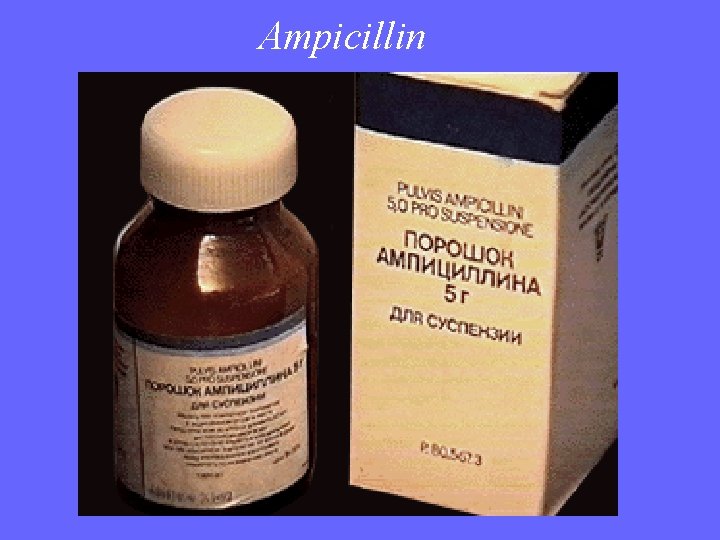 Ampicillin 
