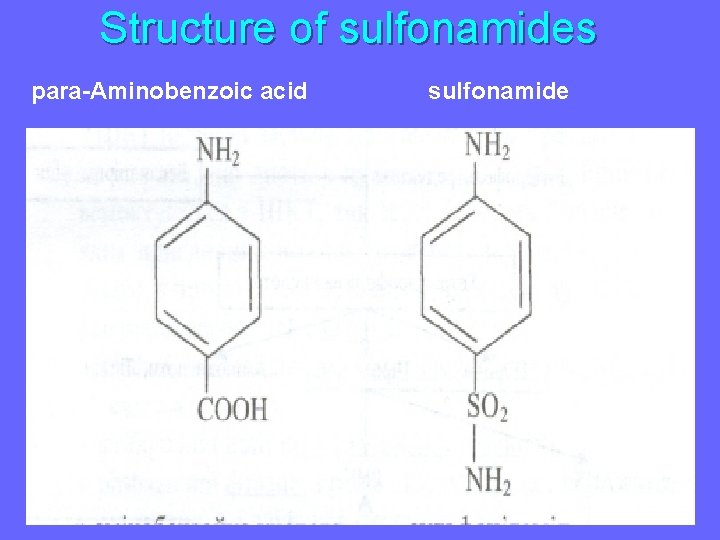 Structure of sulfonamides para-Aminobenzoic acid sulfonamide 