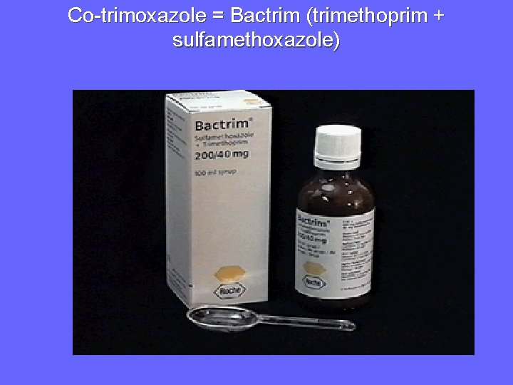 Co-trimoxazole = Bactrim (trimethoprim + sulfamethoxazole) 
