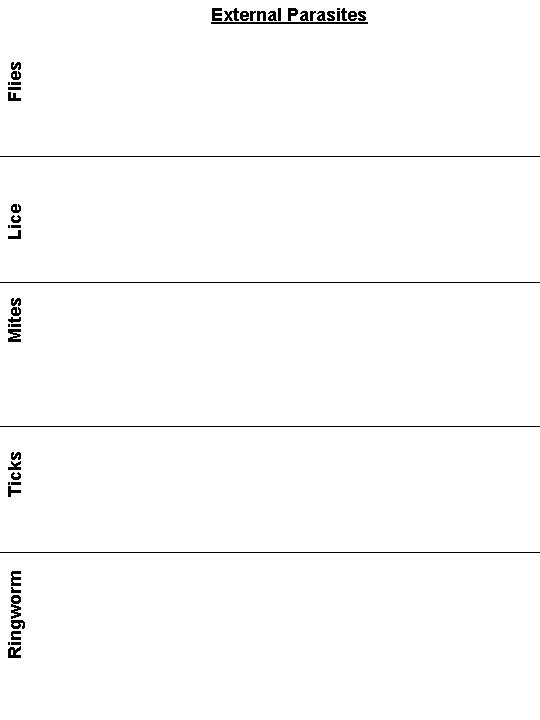 Ringworm Ticks Mites Lice Flies External Parasites 