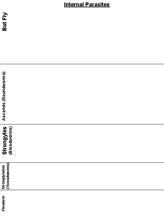 Pinworm Stronglyoides (Threadworms) (Bloodworms) Strongyles Ascarids (Roundworms) Bot Fly Internal Parasites 