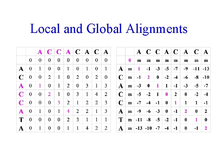 Local and Global Alignments 