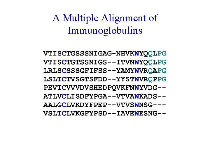 A Multiple Alignment of Immunoglobulins 
