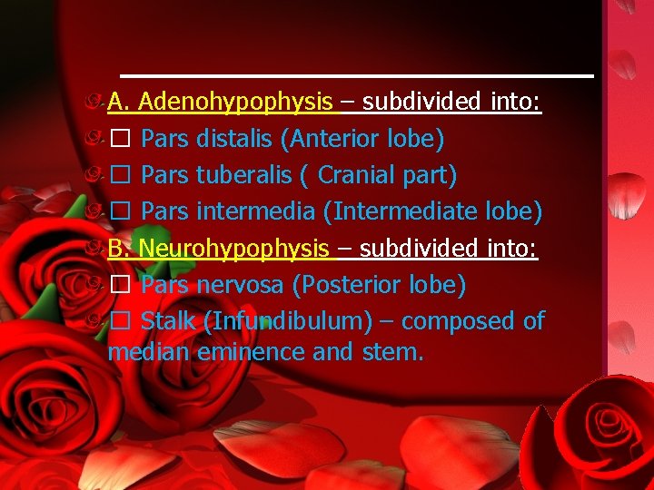 A. Adenohypophysis – subdivided into: � Pars distalis (Anterior lobe) � Pars tuberalis (