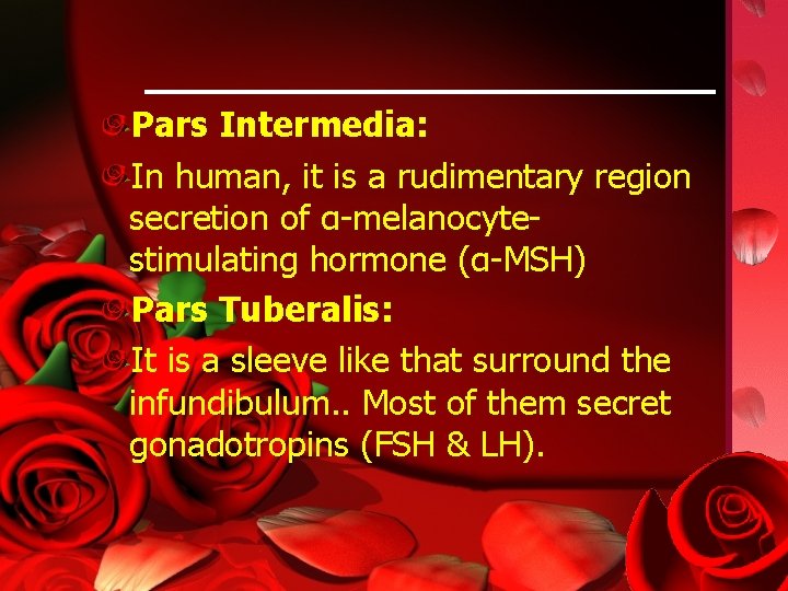 Pars Intermedia: In human, it is a rudimentary region secretion of α-melanocytestimulating hormone (α-MSH)