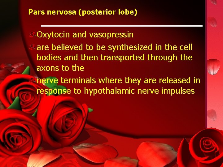 Pars nervosa (posterior lobe) Oxytocin and vasopressin are believed to be synthesized in the