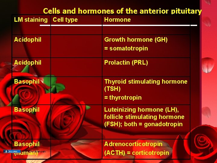 Cells and hormones of the anterior pituitary LM staining Cell type Hormone Acidophil Growth