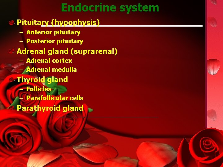 Endocrine system Pituitary (hypophysis) – Anterior pituitary – Posterior pituitary Adrenal gland (suprarenal) –