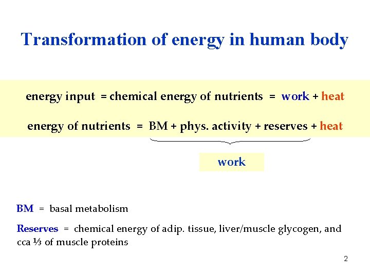 Transformation of energy in human body energy input = chemical energy of nutrients =