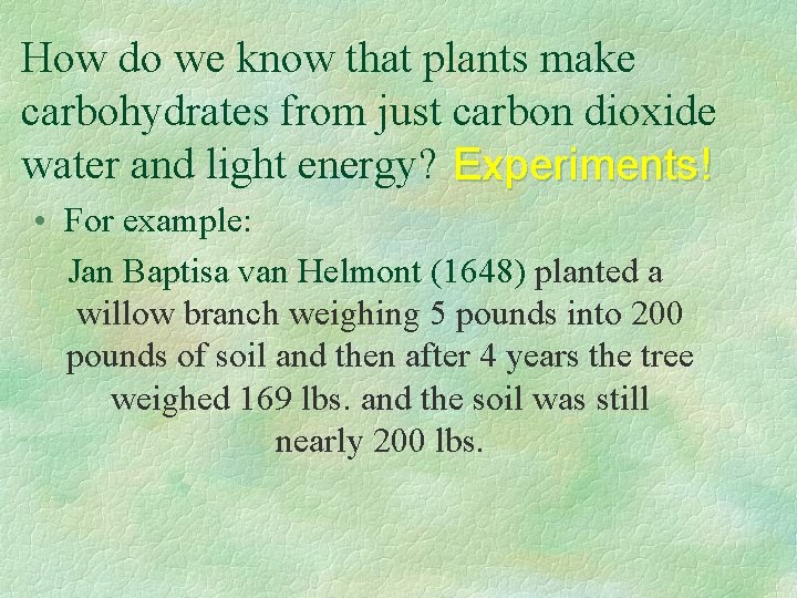 Photosynthesis How plants make their food PPT BY