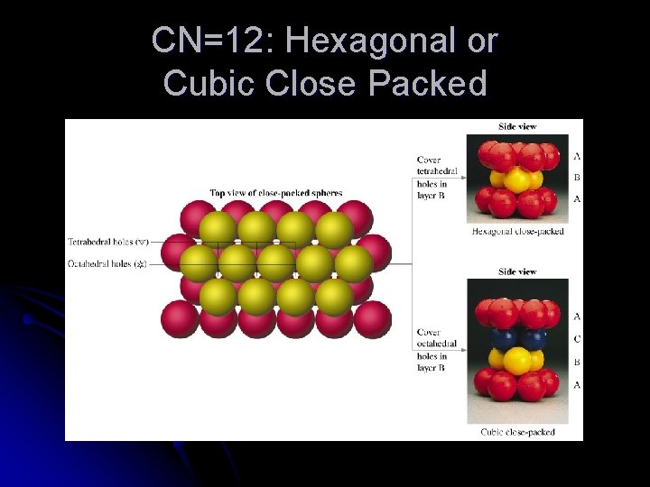 CN=12: Hexagonal or Cubic Close Packed 