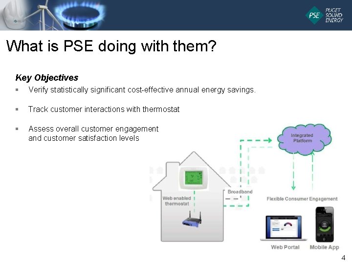 What is PSE doing with them? Key Objectives § Verify statistically significant cost-effective annual