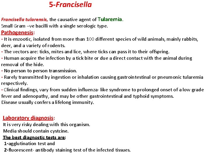  5 -Francisella tularensis, the causative agent of Tularemia. Small Gram –ve bacilli with