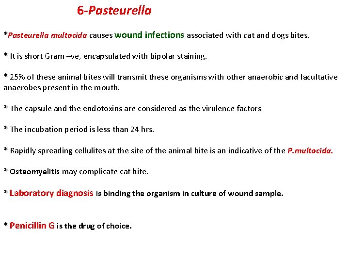  6 -Pasteurella *Pasteurella multocida causes wound infections associated with cat and dogs bites.