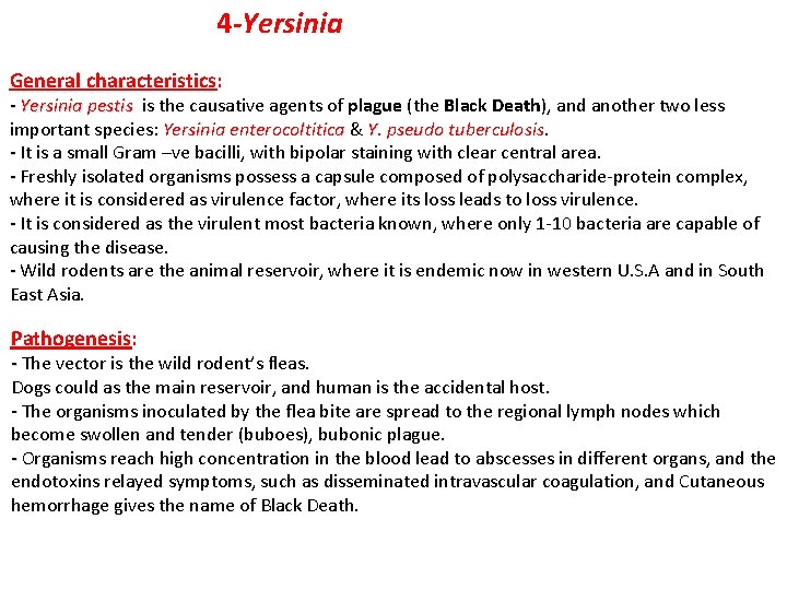  4 -Yersinia General characteristics: - Yersinia pestis is the causative agents of plague