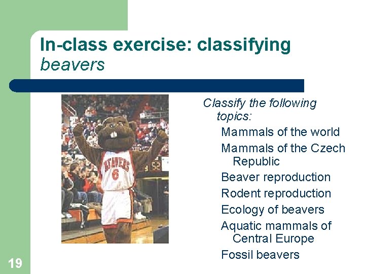 In-class exercise: classifying beavers 19 Classify the following topics: Mammals of the world Mammals