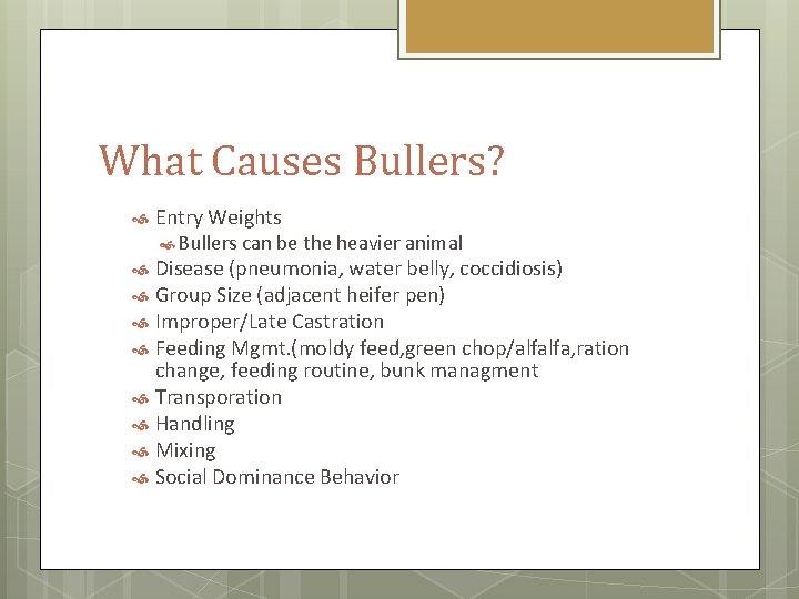 What Causes Bullers? Entry Weights Bullers can be the heavier animal Disease (pneumonia, water
