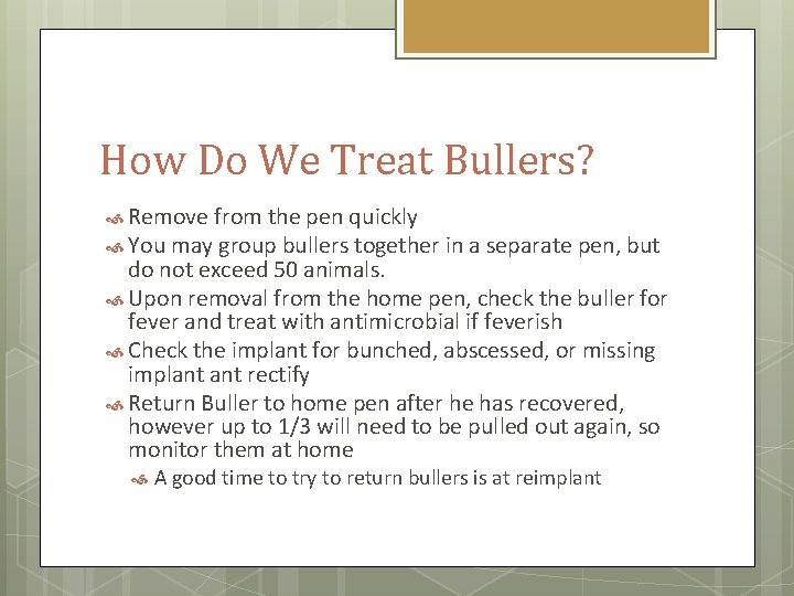 How Do We Treat Bullers? Remove from the pen quickly You may group bullers
