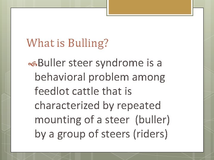 What is Bulling? Buller steer syndrome is a behavioral problem among feedlot cattle that