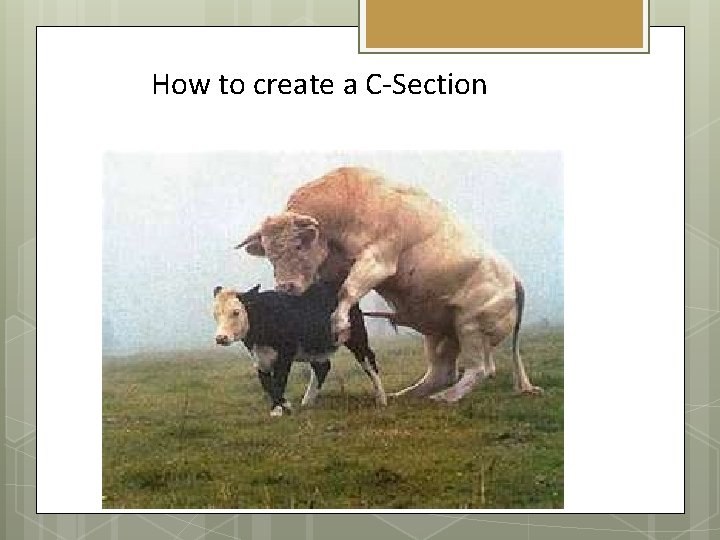 How to create a C-Section 