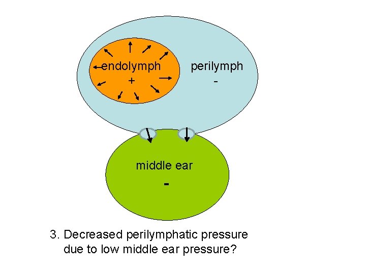 endolymph + perilymph - middle ear 3. Decreased perilymphatic pressure due to low middle