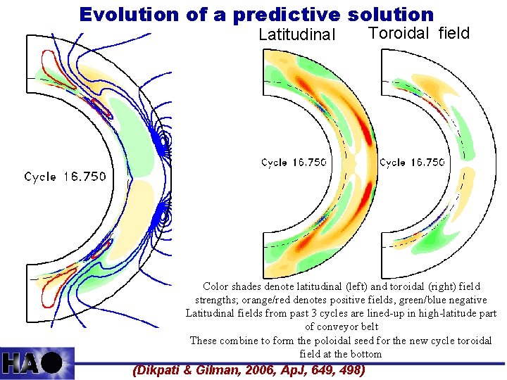 Evolution of a predictive solution Latitudinal field Toroidal field Color shades denote latitudinal (left)