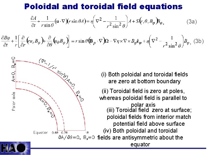 Poloidal and toroidal field equations (3 a) (3 b) (i) Both poloidal and toroidal