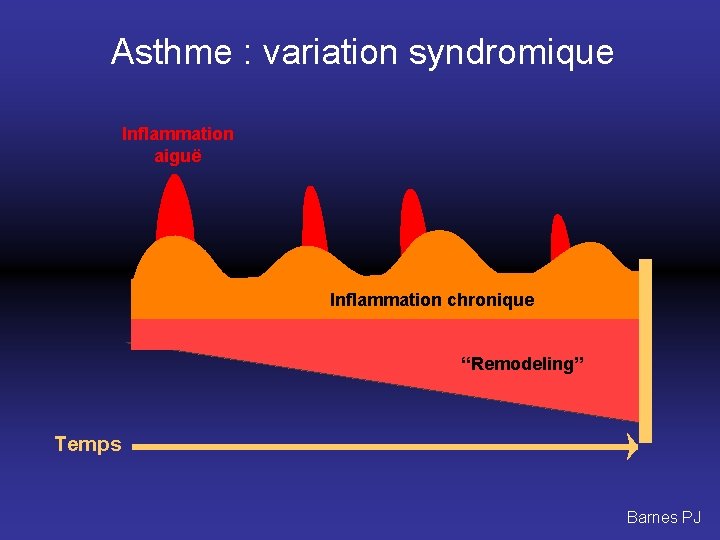 Asthme : variation syndromique Inflammation aiguë Inflammation chronique “Remodeling” Temps Barnes PJ 