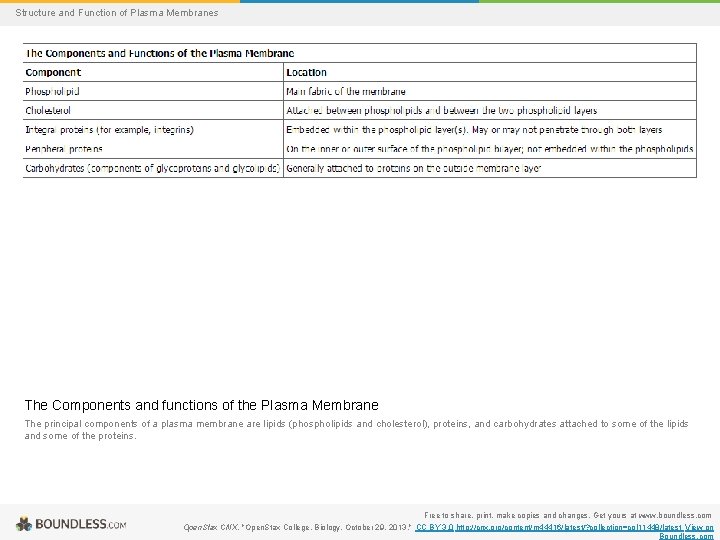 Structure and Function of Plasma Membranes The Components and functions of the Plasma Membrane