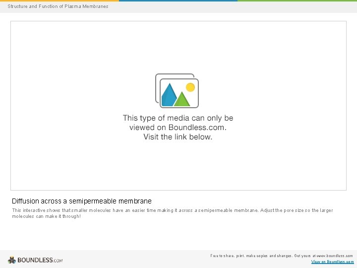 Structure and Function of Plasma Membranes Diffusion across a semipermeable membrane This interactive shows