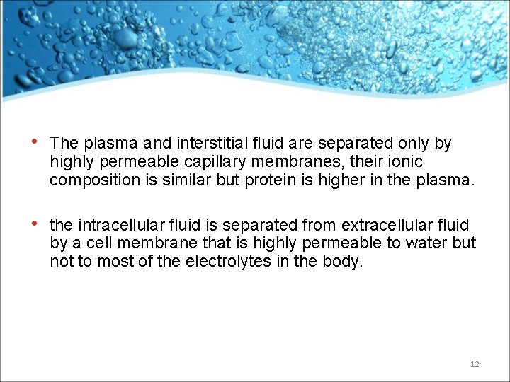  • The plasma and interstitial fluid are separated only by highly permeable capillary