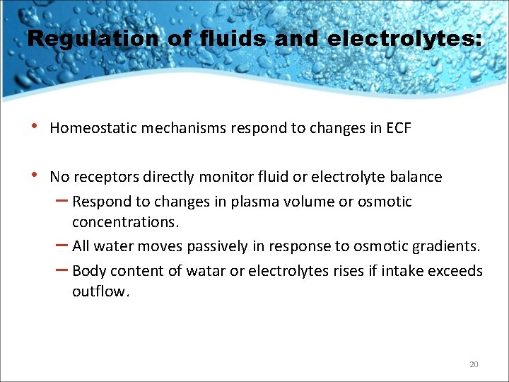 Regulation of fluids and electrolytes: • Homeostatic mechanisms respond to changes in ECF •