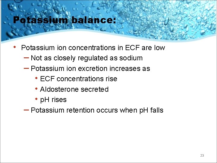 Potassium balance: • Potassium ion concentrations in ECF are low – Not as closely