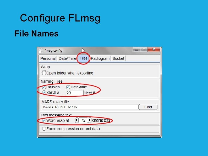 Configure FLmsg File Names 