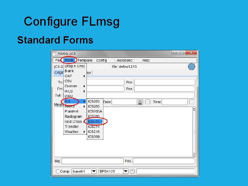 Configure FLmsg Standard Forms 