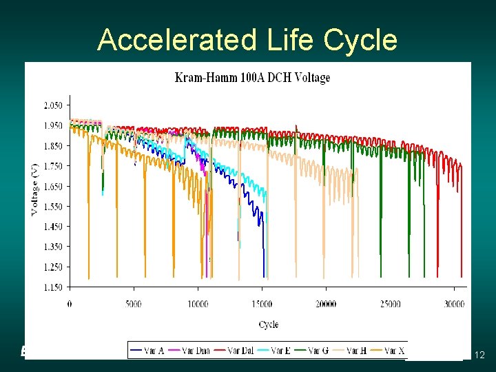Accelerated Life Cycle 12 
