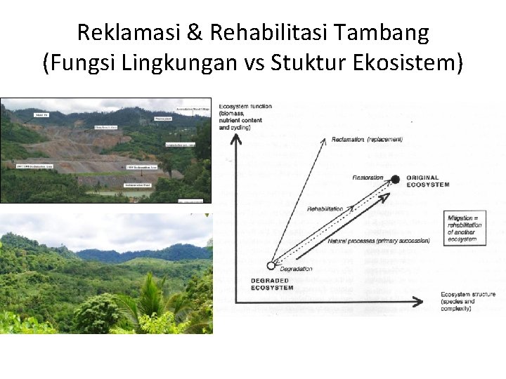 Reklamasi & Rehabilitasi Tambang (Fungsi Lingkungan vs Stuktur Ekosistem) 