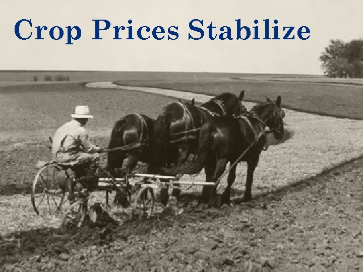 Crop Prices Stabilize 