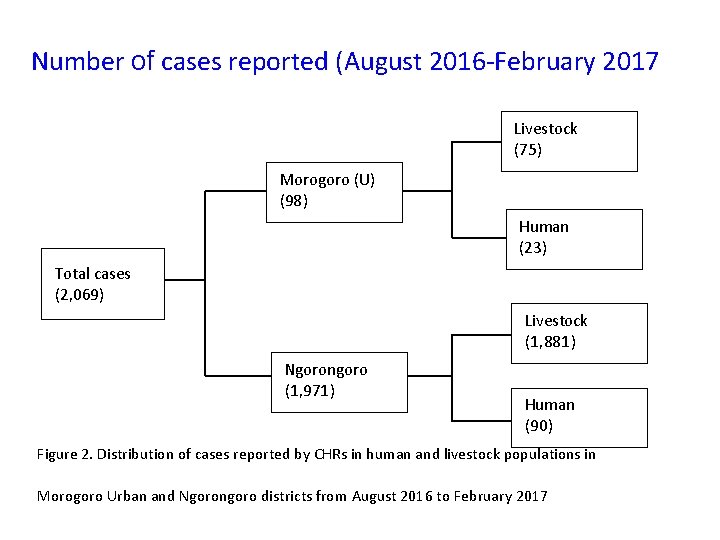 Number of cases reported (August 2016 -February 2017 Livestock (75) Morogoro (U) (98) Human