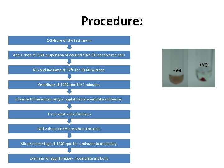 Procedure: 2 -3 drops of the test serum Add 1 drop of 3 -5%