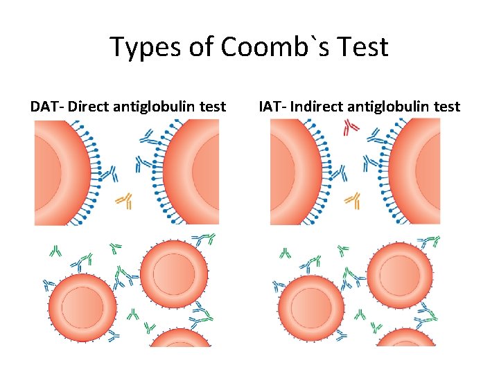 Types of Coomb`s Test DAT- Direct antiglobulin test IAT- Indirect antiglobulin test 