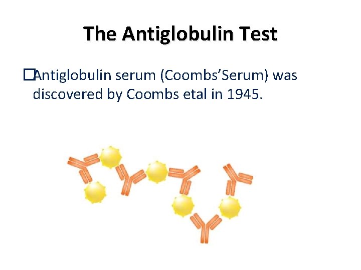 The Antiglobulin Test �Antiglobulin serum (Coombs’Serum) was discovered by Coombs etal in 1945. The Antiglobulin Test �Antiglobulin serum (Coombs’Serum) was discovered by Coombs etal in 1945.
